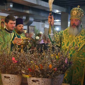 Архиерейское Богослужение в праздник Входа Господня в Иерусалим